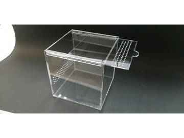 террариум для паучка Уфа